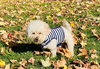 Sofia #191 - Photo 7
