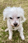 Jacque #402/436 - Photo 7