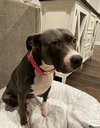 Eva - Photo 3