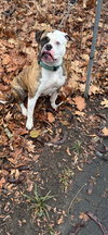Amega Courtesy post - Photo 3