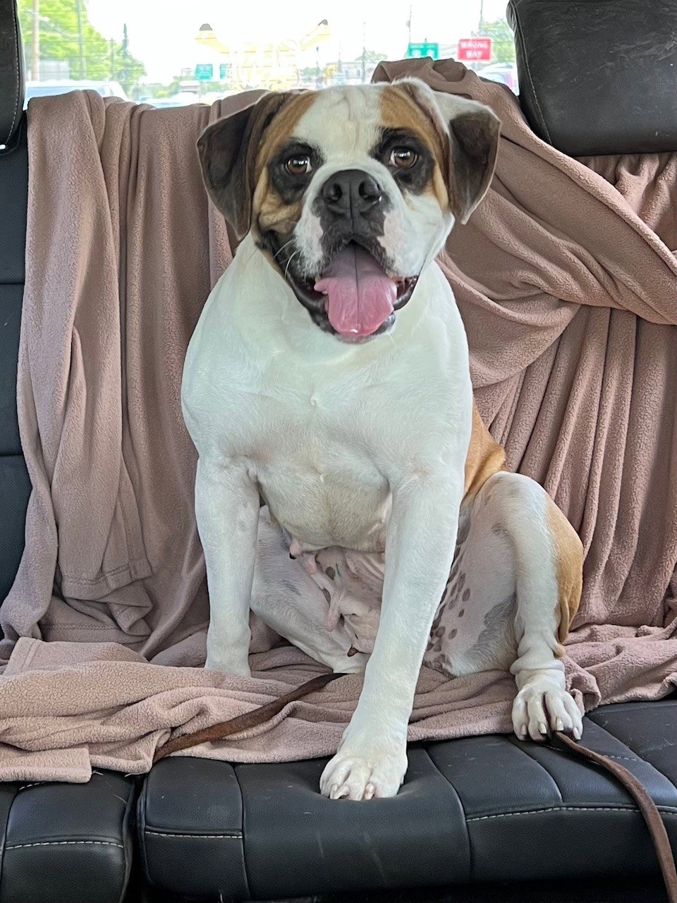 Melba