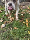 Babette - Photo 1