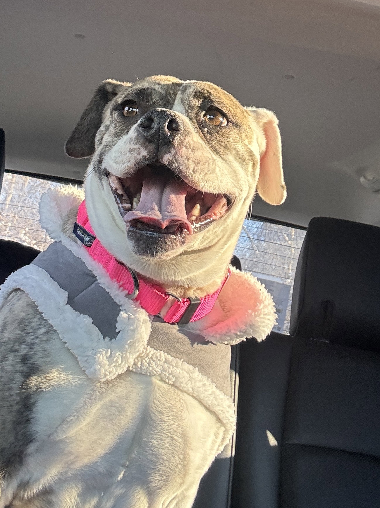 Doris