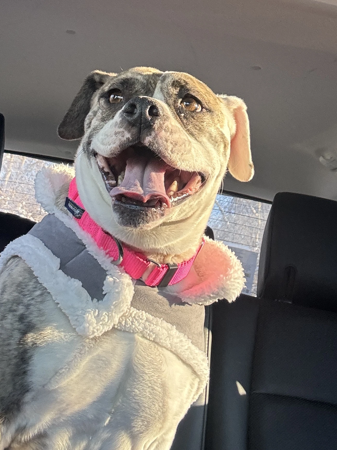 Doris