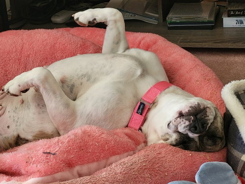 Photo 3 of Doris
