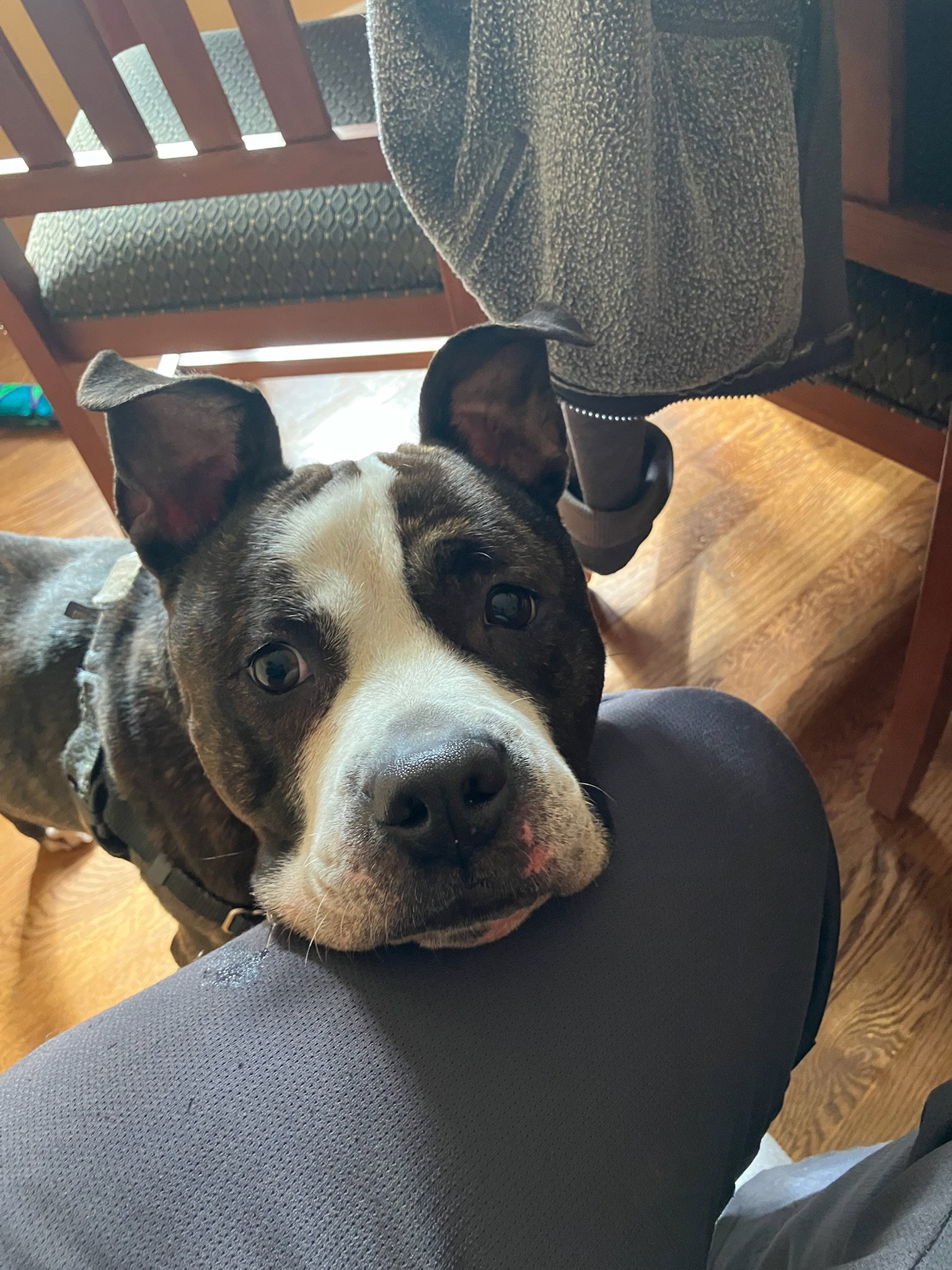 Nala