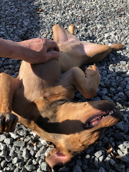 Teagan, photo 4