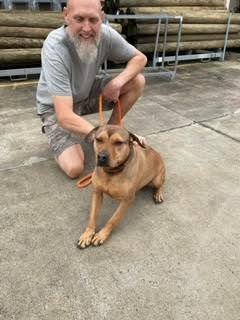 Teagan, photo 7