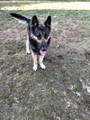 Matthias - Photo 5