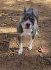 Murcie - Photo 1