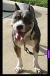 Murcie - Photo 2