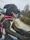 Blaze - Photo 4