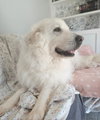 Milana - Photo 5