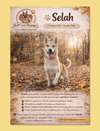 Selah - Photo 1