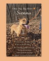 Sienna - Photo 1