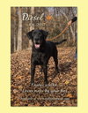 Diesel - Photo 1