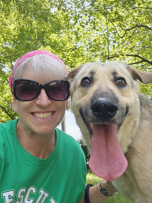 picture of the dog needing adoption