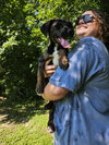 June - Photo 9