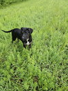 June - Photo 8