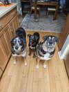 June - Photo 6