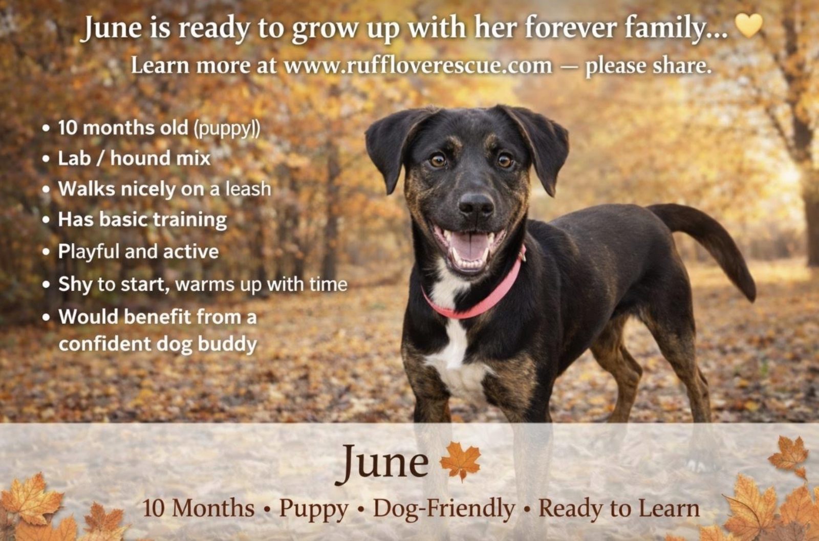 June