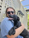 adoptable Dog in thomasville, NC named Esmira