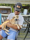 adoptable Dog in  named Amira