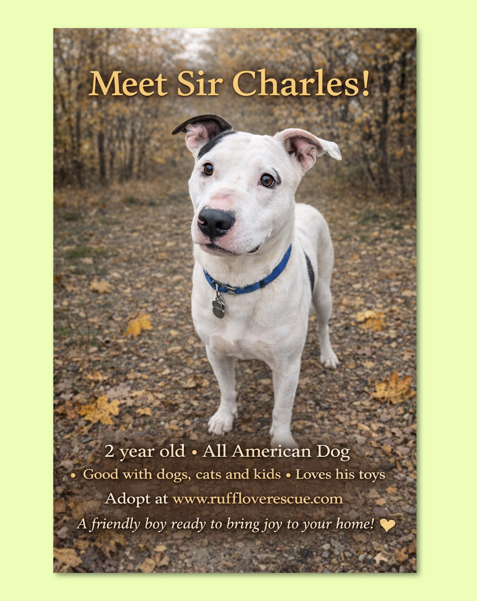 Sir Charles
