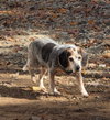Joan - Photo 1