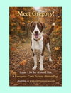 Gregory - Photo 1