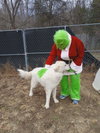 Ranger - Photo 4