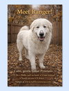Ranger - Photo 1