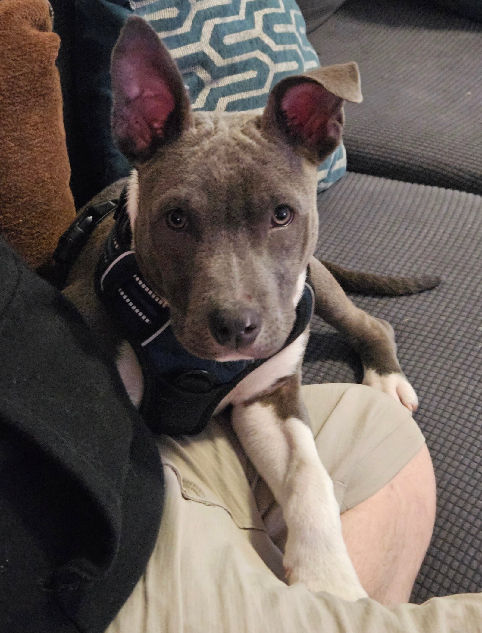 Mac