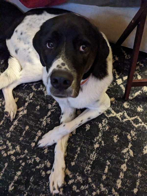 Charlie