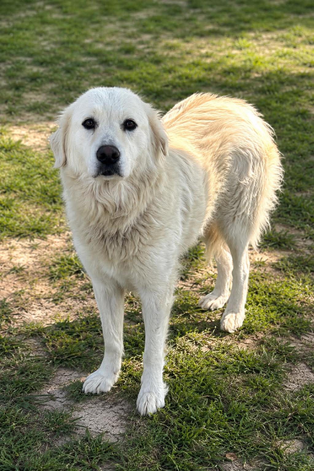 Sasha image 1