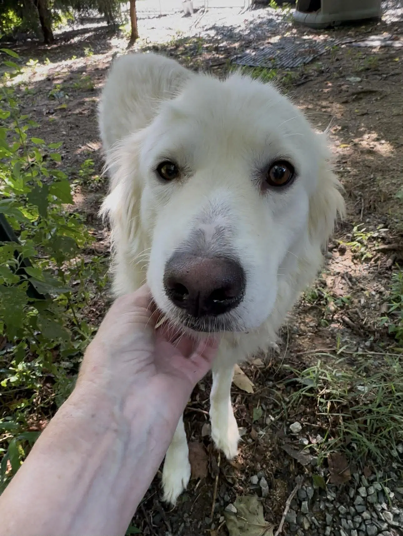 Sasha image 2