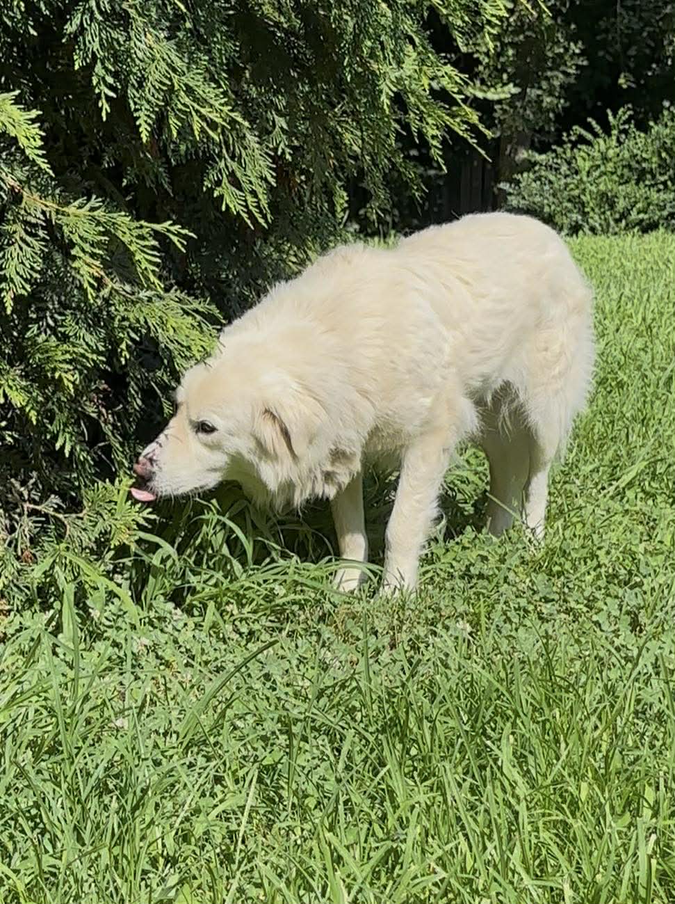 Sasha image 3