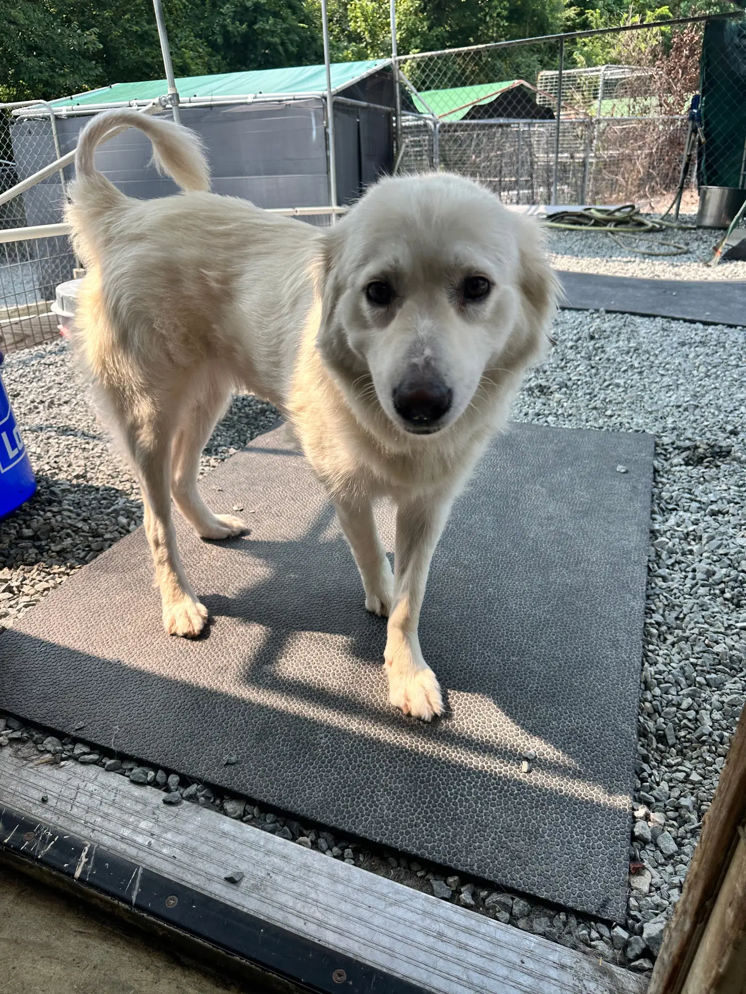 Sasha image 4