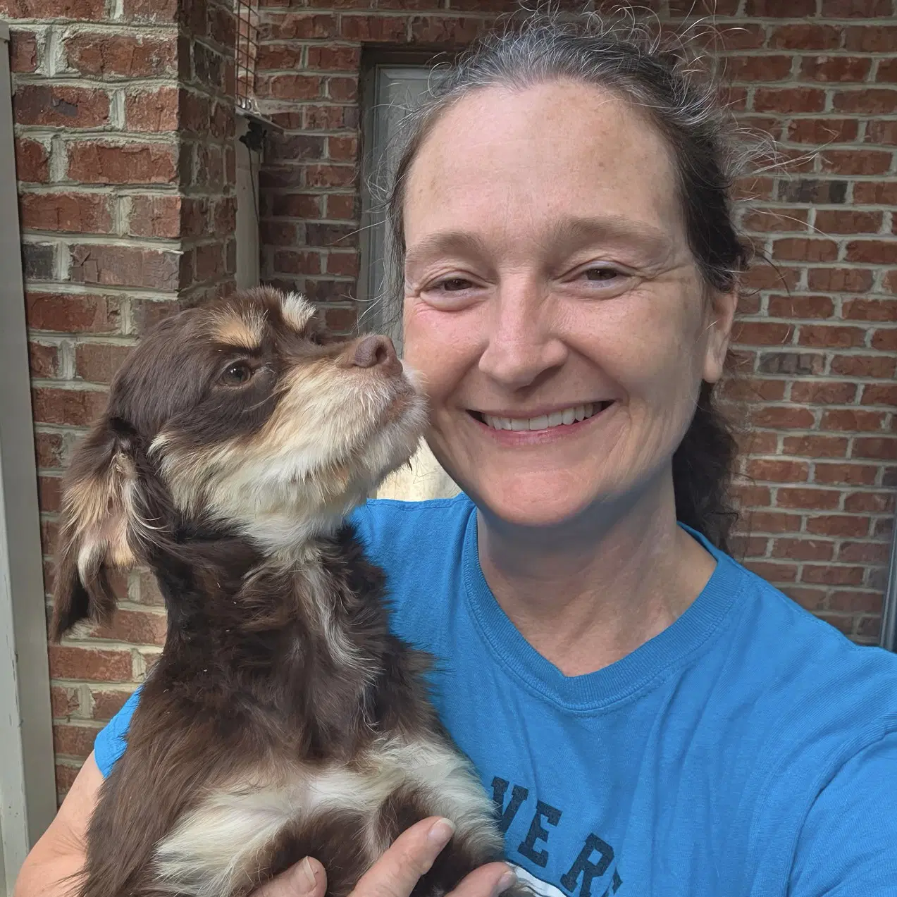Caleb - Spaniel
