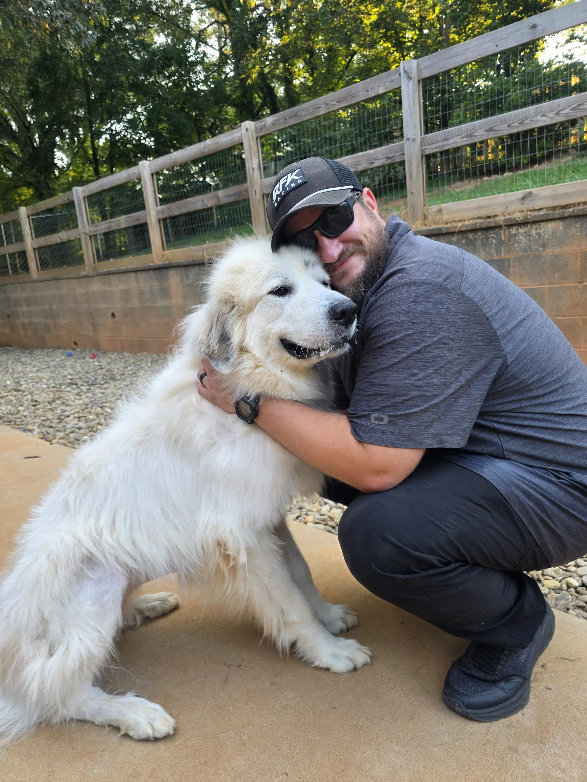 Minnie - Great Pyrenees
