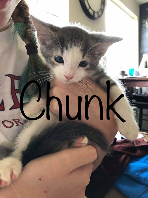 Chunk