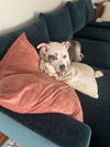 Bertha