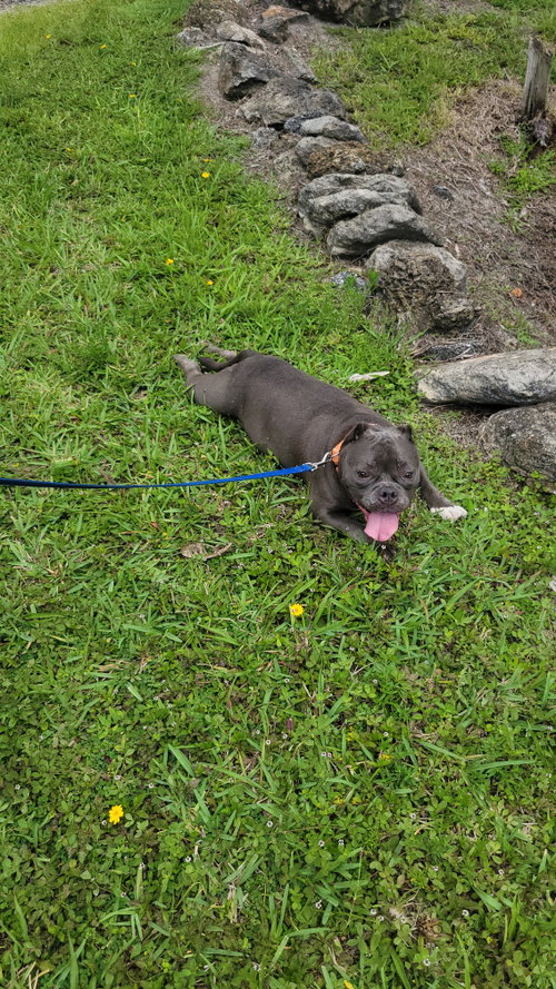 Anya photo 6