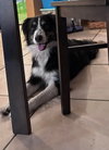 Nella