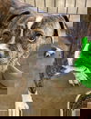Spike
