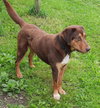 Bruce - Photo 1