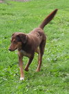 Bruce - Photo 5