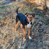 Joel - Photo 2