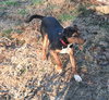 Joel - Photo 3