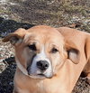 Zeke - Photo 1
